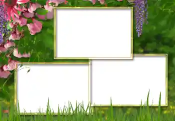 범주에서의 사진 효과 여성 프레임 № 146298