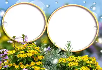 범주에서의 사진 효과 여성 프레임 № 146355