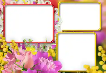 범주에서의 사진 효과 여성 프레임 № 146392