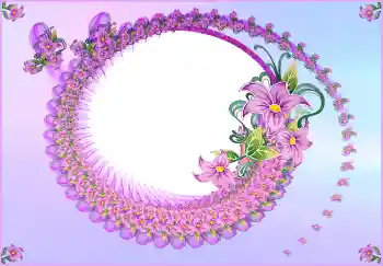 범주에서의 사진 효과 여성 프레임 № 146462