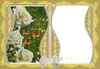 범주에서의 사진 효과 여성 프레임 № 146550