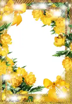 범주에서의 사진 효과 여성 프레임 № 1475