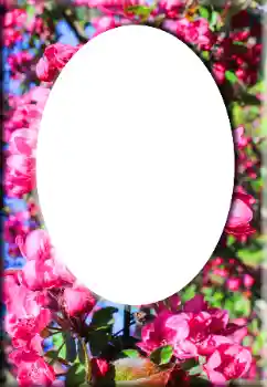 범주에서의 사진 효과 여성 프레임 № 147641