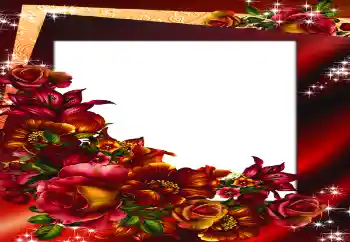 범주에서의 사진 효과 여성 프레임 № 147688