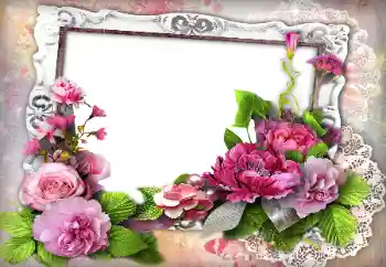 범주에서의 사진 효과 여성 프레임 № 147765