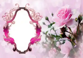 범주에서의 사진 효과 여성 프레임 № 147772