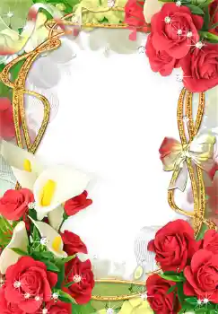 범주에서의 사진 효과 여성 프레임 № 1479