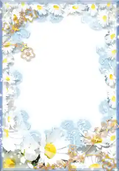 범주에서의 사진 효과 여성 프레임 № 1488