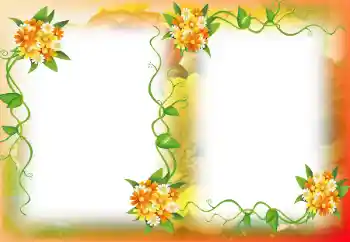 범주에서의 사진 효과 여성 프레임 № 14890