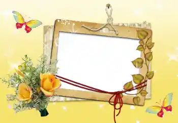 범주에서의 사진 효과 여성 프레임 № 14916