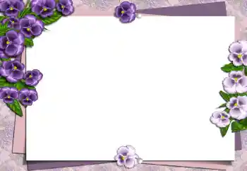 범주에서의 사진 효과 여성 프레임 № 149194