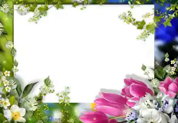 범주에서의 사진 효과 여성 프레임 № 149325 범주에서의 사진 효과 여성 프레임 № 149325