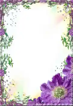 범주에서의 사진 효과 여성 프레임 № 14999