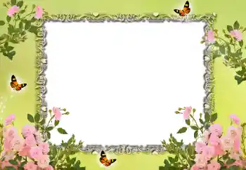 범주에서의 사진 효과 여성 프레임 № 15015