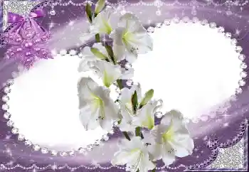 범주에서의 사진 효과 여성 프레임 № 15023