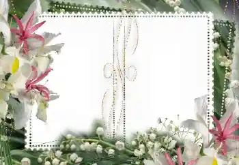 범주에서의 사진 효과 여성 프레임 № 15027