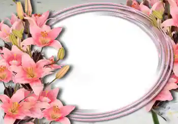 범주에서의 사진 효과 여성 프레임 № 15032