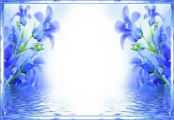 범주에서의 사진 효과 여성 프레임 № 150560 범주에서의 사진 효과 여성 프레임 № 150560