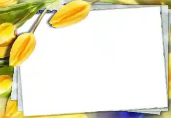 범주에서의 사진 효과 여성 프레임 № 150591 범주에서의 사진 효과 여성 프레임 № 150591