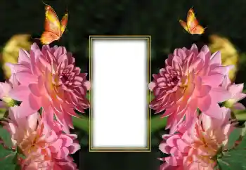 범주에서의 사진 효과 여성 프레임 № 150649 범주에서의 사진 효과 여성 프레임 № 150649