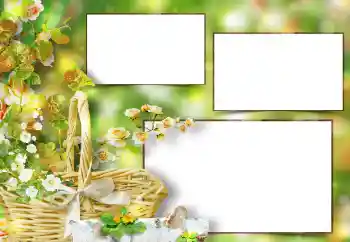 범주에서의 사진 효과 여성 프레임 № 151667 범주에서의 사진 효과 여성 프레임 № 151667