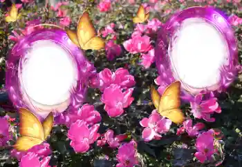 범주에서의 사진 효과 여성 프레임 № 151815 범주에서의 사진 효과 여성 프레임 № 151815