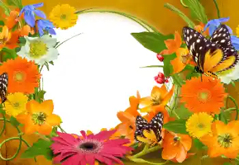 범주에서의 사진 효과 여성 프레임 № 152894 범주에서의 사진 효과 여성 프레임 № 152894