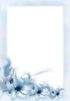 범주에서의 사진 효과 여성 프레임 № 152955 범주에서의 사진 효과 여성 프레임 № 152955