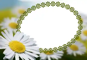 범주에서의 사진 효과 여성 프레임 № 152966 범주에서의 사진 효과 여성 프레임 № 152966