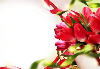 범주에서의 사진 효과 여성 프레임 № 153228 범주에서의 사진 효과 여성 프레임 № 153228