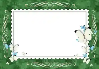 범주에서의 사진 효과 여성 프레임 № 154319 범주에서의 사진 효과 여성 프레임 № 154319