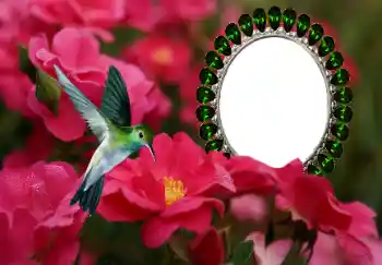 범주에서의 사진 효과 여성 프레임 № 154585 범주에서의 사진 효과 여성 프레임 № 154585