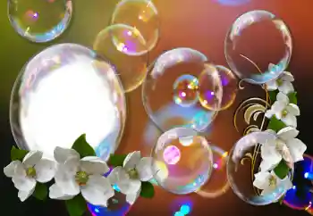 범주에서의 사진 효과 여성 프레임 № 155793 범주에서의 사진 효과 여성 프레임 № 155793