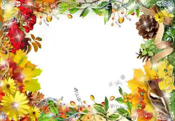 범주에서의 사진 효과 여성 프레임 № 155799 범주에서의 사진 효과 여성 프레임 № 155799