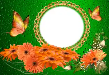 범주에서의 사진 효과 여성 프레임 № 155817