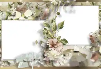 범주에서의 사진 효과 여성 프레임 № 155832