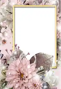 범주에서의 사진 효과 여성 프레임 № 155833