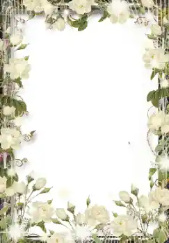 범주에서의 사진 효과 여성 프레임 № 155846