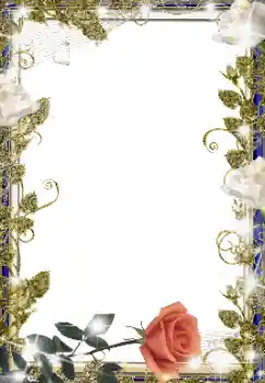 범주에서의 사진 효과 여성 프레임 № 155847