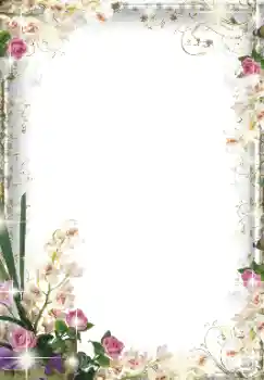 범주에서의 사진 효과 여성 프레임 № 155848