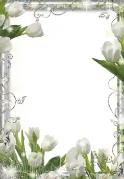 범주에서의 사진 효과 여성 프레임 № 155849