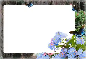 범주에서의 사진 효과 여성 프레임 № 155873