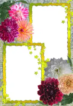 범주에서의 사진 효과 여성 프레임 № 155888