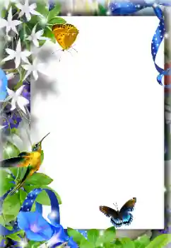 범주에서의 사진 효과 여성 프레임 № 155925