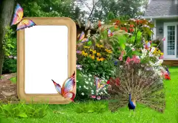 범주에서의 사진 효과 여성 프레임 № 155936 범주에서의 사진 효과 여성 프레임 № 155936