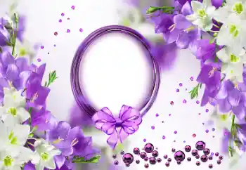 범주에서의 사진 효과 여성 프레임 № 156048