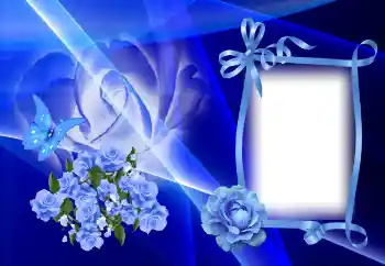 범주에서의 사진 효과 여성 프레임 № 156049