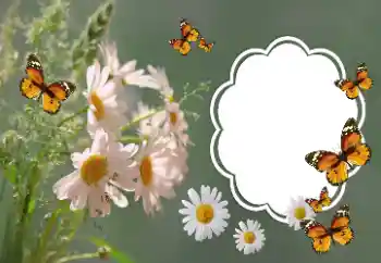 범주에서의 사진 효과 여성 프레임 № 157064