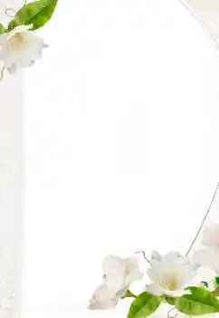 범주에서의 사진 효과 여성 프레임 № 157069