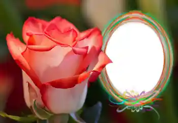 범주에서의 사진 효과 여성 프레임 № 157090